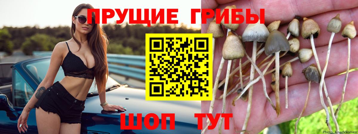 Галлюциногенные грибы Magic Shrooms  Галлюциногенные грибы Magic Shrooms  Старая Купавна  Вход с VPN 